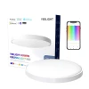 Розумний стельовий світильник Yeelight Arwen Ceiling Light 450S (YLXD013)