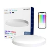 Розумний стельовий світильник Yeelight Arwen Ceiling Light 550S (YLXD013-A)
