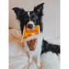 Ласощі для собак JR Pet з кенгуру 85 г (0634158676093)