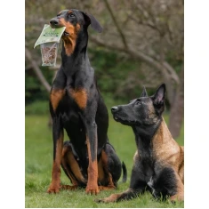 Ласощі для собак JR Pet тренувальні з кролика 85 г (0634158676109)