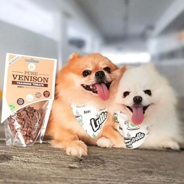 Ласощі для собак JR Pet з олениною 85 г (0634158676123)