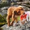 Ласощі для собак JR Pet з індичкою 85 г (0634158951381)
