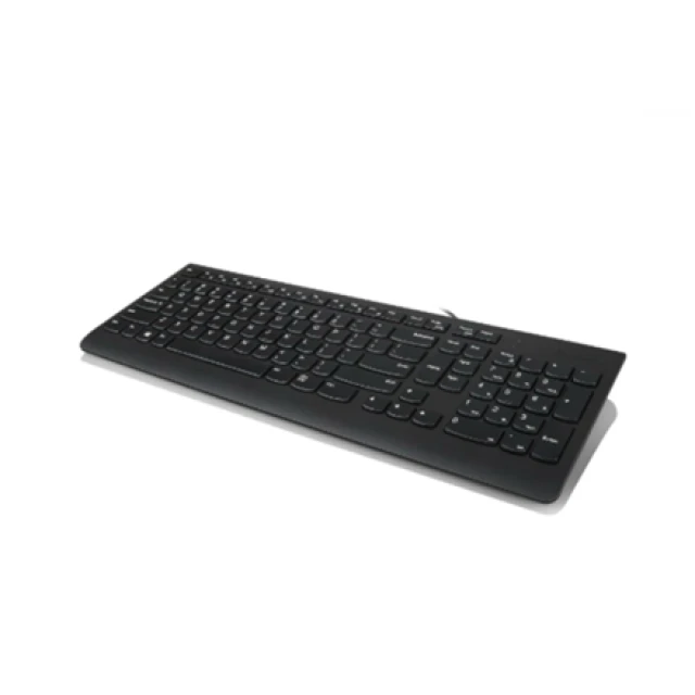 Клавіатура Lenovo 300 USB PL розкладка 1,8 м Black (190793629080)