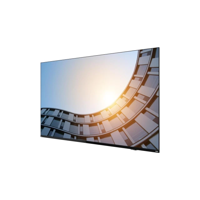 Дисплей Lenovo ThinkVision E65 LFD 64.5