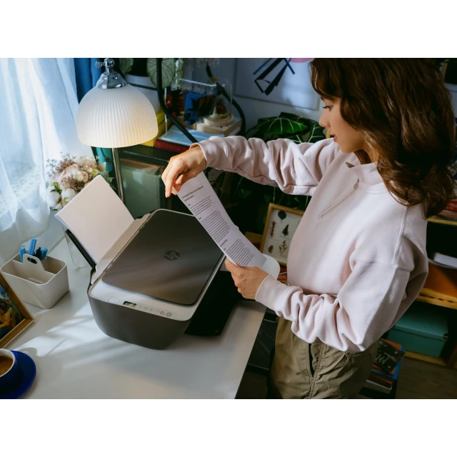 Багатофункціональний пристрій Hewlett-Packard HP DeskJet 2920 (198701680109)