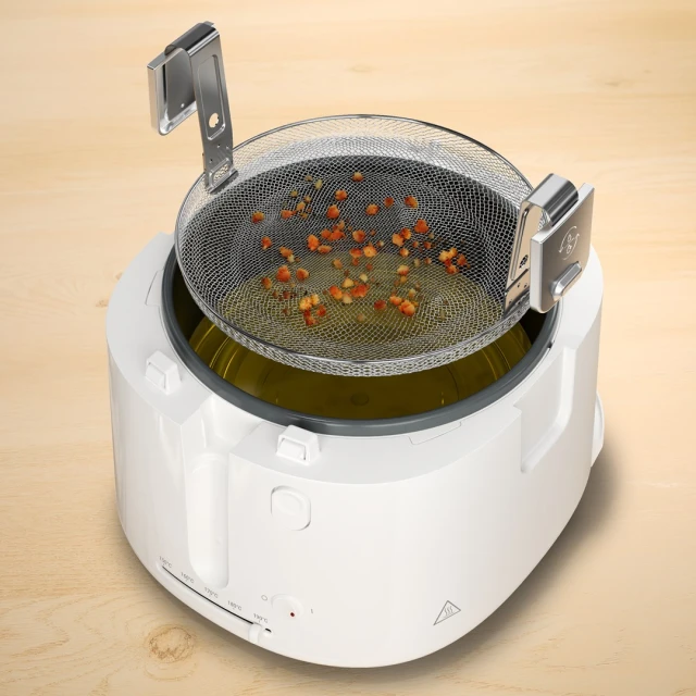 Фритюрниця Tefal Filtra Vision FF2541E0 (3045387296254)