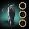 Ламістер для котів Sheba Classics Рибні смаки з білою рибою/тріскою/лососем/тунцем 32 шт x 85 г (3065890152670)