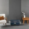 Відпарювач Tefal YT2020E0 (3121040091067)