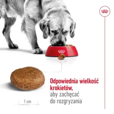 Сухий корм для собак Royal Canin SHN Maxi Adult 5+ 15 кг (3182550402316)