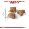 Сухий корм для котів Royal Canin Sensible 33 400 г (3182550702263)