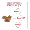 Сухий корм для кошенят Royal Canin Kitten 400 г (3182550702379)
