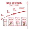 Сухий корм для кошенят Royal Canin Kitten 36 2 кг (3182550702423)