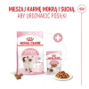 Сухий корм для кошенят Royal Canin Kitten 36 2 кг (3182550702423)