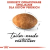 Сухий корм для котів Royal Canin Persian Adult 400 г (3182550702607)