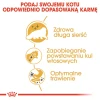 Сухий корм для котів Royal Canin Persian Adult 400 г (3182550702607)