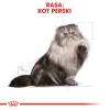 Сухий корм для котів Royal Canin Persian Adult 10 кг (3182550702621)