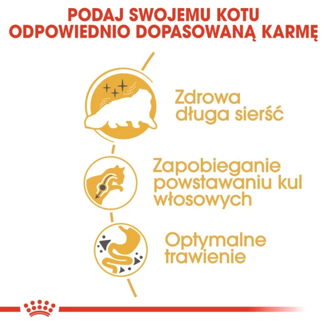 Сухий корм для котів Royal Canin Persian Adult 10 кг (3182550702621)