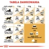 Сухий корм для котів Royal Canin Persian Adult 10 кг (3182550702621)