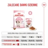 Сухий корм для кошенят Royal Canin Kitten 10 кг (3182550702973)