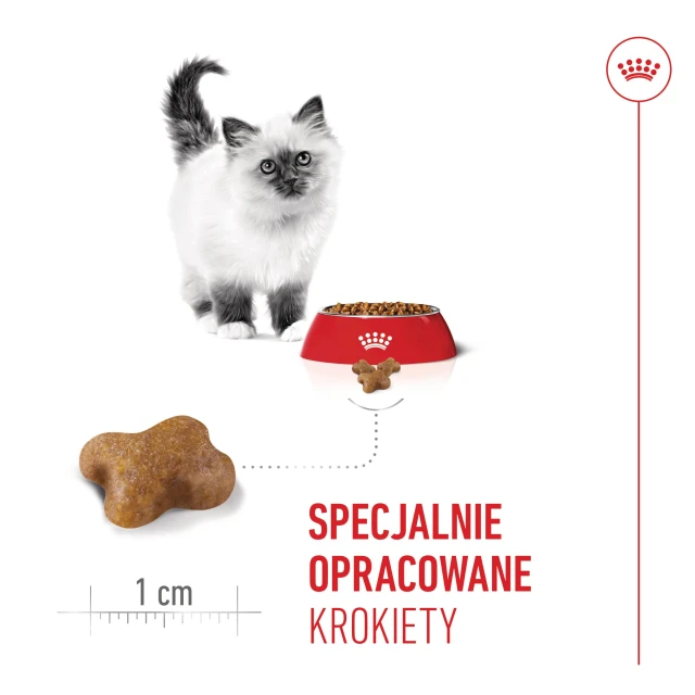 Сухий корм для кошенят Royal Canin Kitten 10 кг (3182550702973)