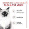 Сухий корм для кошенят Royal Canin Kitten 10 кг (3182550702973)