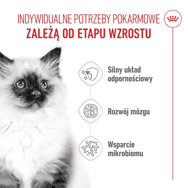 Сухий корм для кошенят Royal Canin Kitten 10 кг (3182550702973)