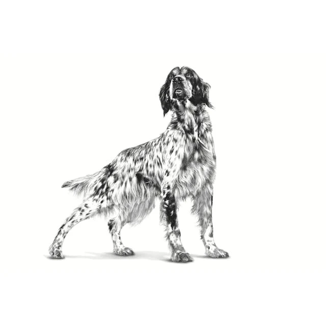 Ветеринарна дієта для собак Royal Canin Renal 2 кг (3182550710992)