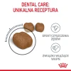 Сухий корм для котів Royal Canin Oral Care 8 кг (3182550721622)