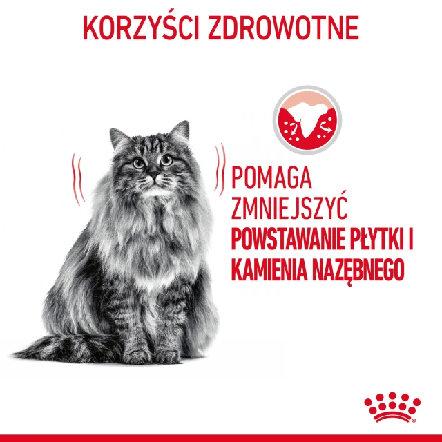 Сухий корм для котів Royal Canin Oral Care 8 кг (3182550721622)