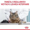 Сухий корм для котів Royal Canin Oral Care 8 кг (3182550721622)