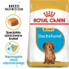 Сухий корм для цуценят Royal Canin Dachshund Puppy 1,5 кг (3182550722575)