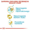 Сухий корм для цуценят Royal Canin Dachshund Puppy 1,5 кг (3182550722575)