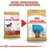 Сухий корм для цуценят Royal Canin Dachshund Puppy 1,5 кг (3182550722575)