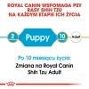 Сухий корм для цуценят Royal Canin Shih Tzu Puppy 500 г (3182550722599)