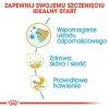 Сухий корм для цуценят Royal Canin Shih Tzu Puppy 500 г (3182550722599)