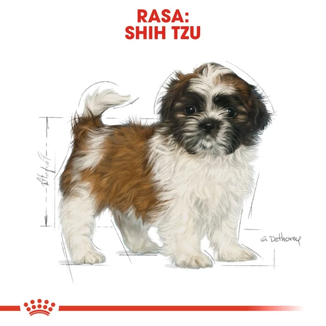 Сухий корм для цуценят Royal Canin Shih Tzu Puppy 500 г (3182550722599)
