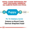 Сухий корм для цуценят Royal Canin German Shepherd Puppy 12 кг (3182550724159)