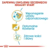 Сухий корм для цуценят Royal Canin German Shepherd Puppy 12 кг (3182550724159)