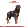 Сухий корм для собак Royal Canin Rottweiler Adult 12 кг (3182550736060)