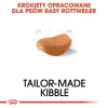 Сухий корм для собак Royal Canin Rottweiler Adult 12 кг (3182550736060)