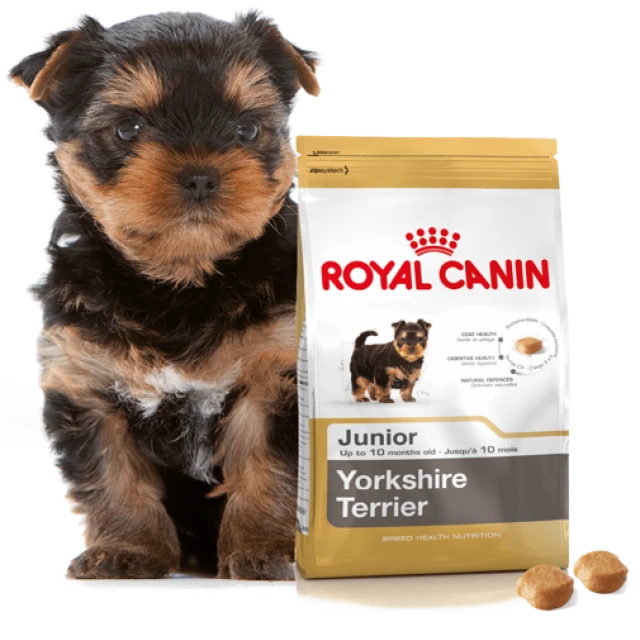 Сухий корм для цуценят Royal Canin Yorkshire Terrier Puppy 500 г (3182550743464)