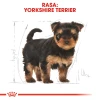 Сухий корм для цуценят Royal Canin Yorkshire Terrier Puppy 500 г (3182550743464)