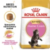 Сухий корм для кошенят Royal Canin Maine Coon Kitten 400 г (3182550770941)