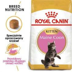 Сухий корм для кошенят Royal Canin Maine Coon Kitten 400 г (3182550770941)