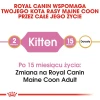 Сухий корм для кошенят Royal Canin Maine Coon Kitten 400 г (3182550770941)