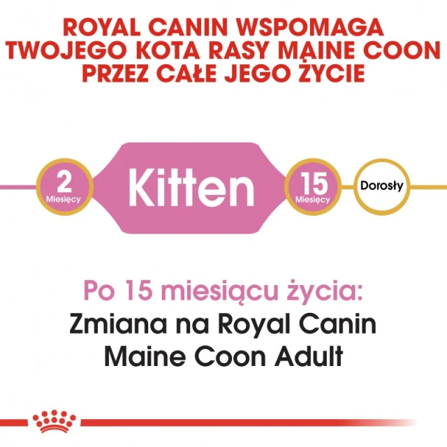 Сухий корм для кошенят Royal Canin Maine Coon Kitten 400 г (3182550770941)