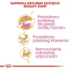 Сухий корм для кошенят Royal Canin Maine Coon Kitten 400 г (3182550770941)