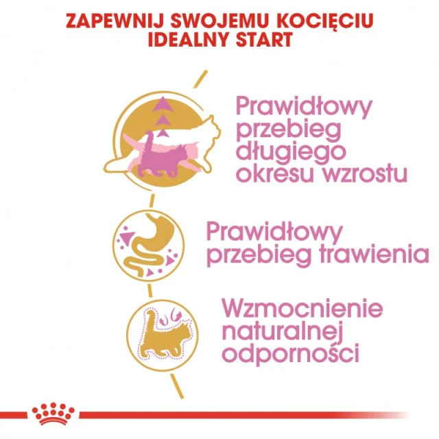 Сухий корм для кошенят Royal Canin Maine Coon Kitten 400 г (3182550770941)