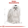Сухий корм для собак Royal Canin Maltese Adult 500 г (3182550782180)