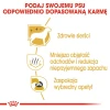 Сухий корм для собак Royal Canin Maltese Adult 500 г (3182550782180)